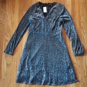 Banana Republic NWT Navy and Silver Metallic Dress
